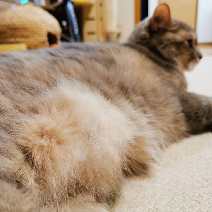 5f2267bc 58d1 4107 8a00 5aa1b8440464 1621865206121