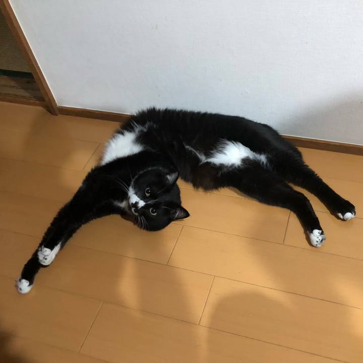 5f226b33 18b7 4ec9 ac3f 448cde6d7083 1656559998358