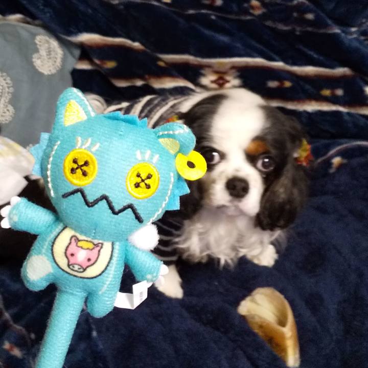 5f22838d 92ae 4a56 8a0b 68e94490dbfb 1576332156082