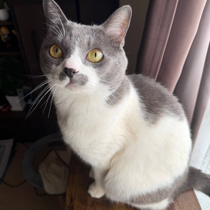 5f22af80 1ca3 4ea2 85b4 fe7840d6d4ff 1767494482900