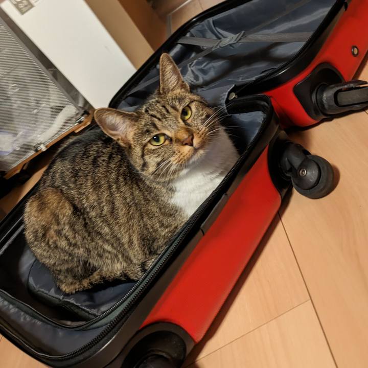 5f2308be 0dfb 4173 9ca9 0b41662a7ace 1691588294579