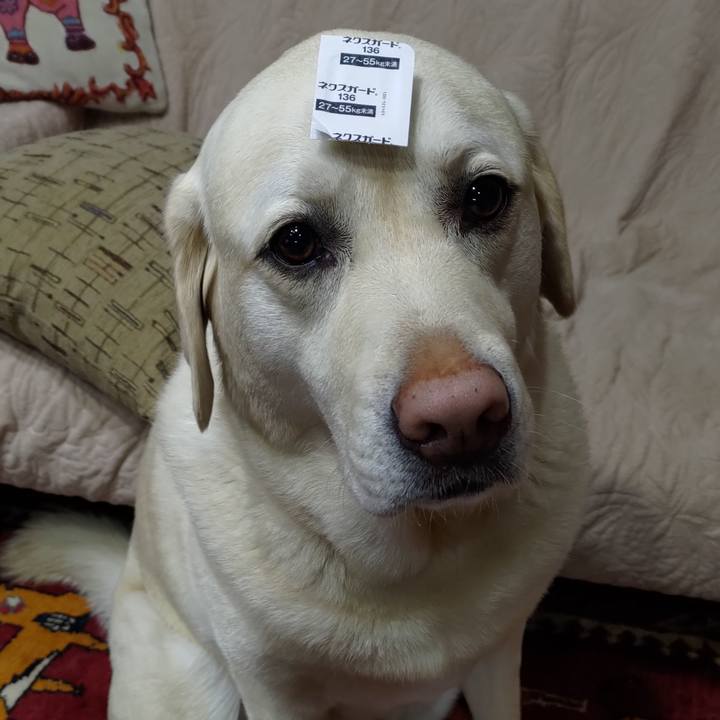 5f239932 85d8 4d6b a6ed 58b51da9625d 1650453001256