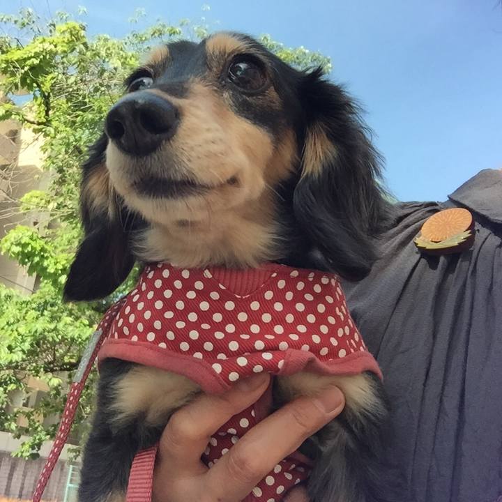 5f23a79c 7aea 433e 923b c9c0426497f4 1525998237637