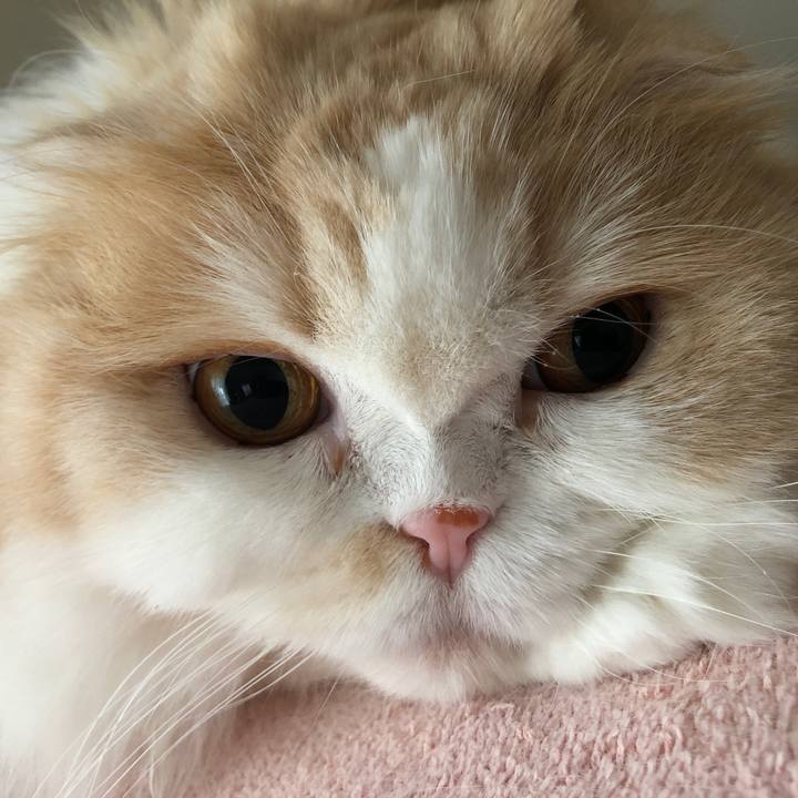 5f23a8b0 47a5 417f a117 0b88fe458053 1615593484271