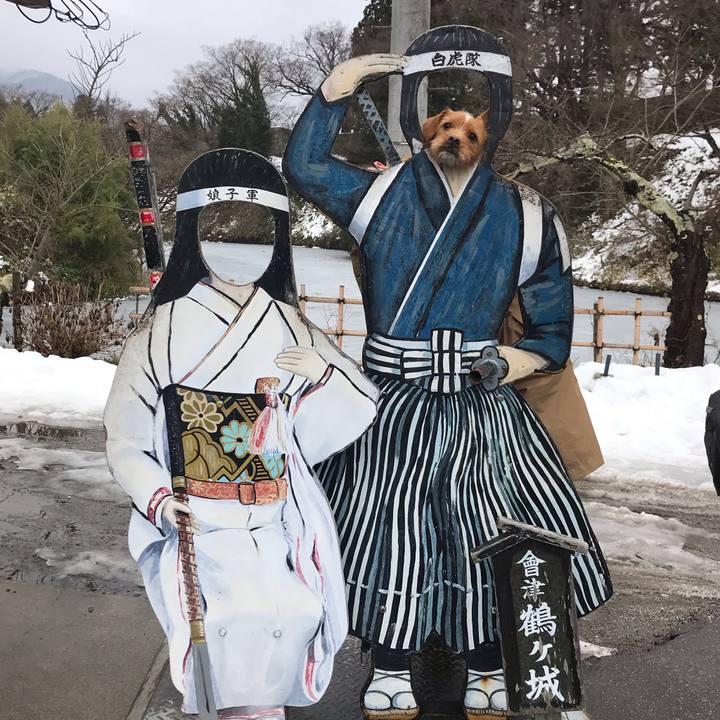 5f23bc9c 8a0f 4e81 934f 0bbd0df471bf 1549278111329