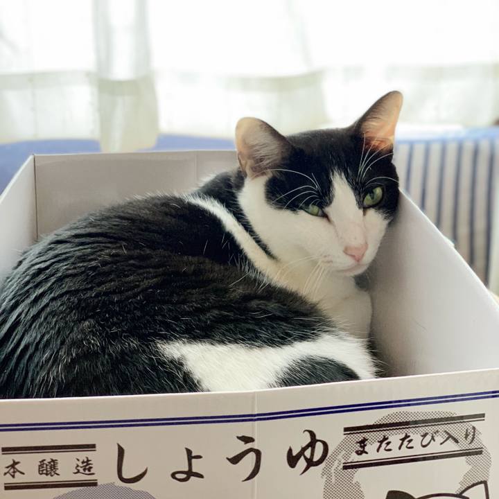 5f23c3a1 307b 4868 9644 a5e0ce87f1a3 1541902811243