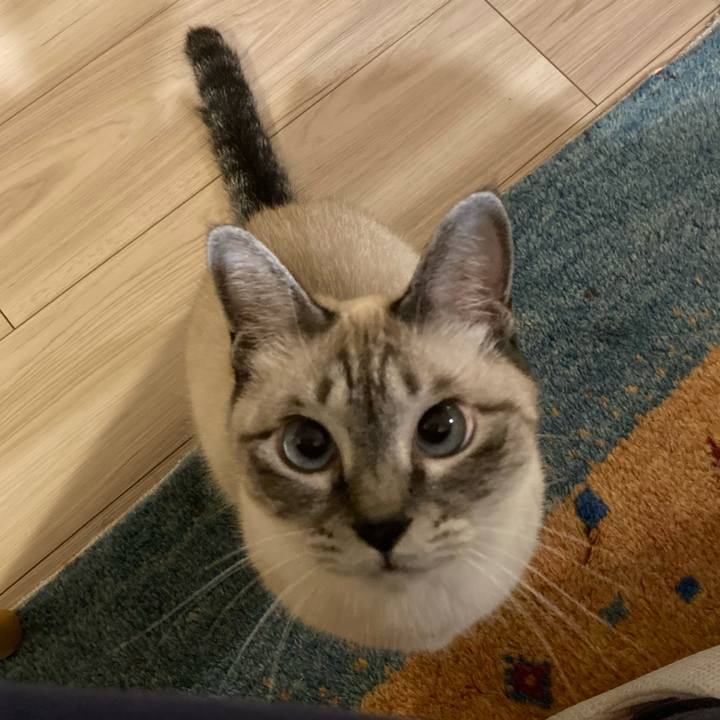 5f2412ec 0e72 4a20 be1b f12f4ccd028f 1634645367679