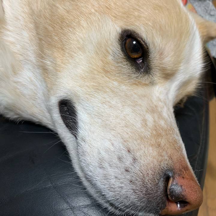 5f242876 0d47 48e9 95e5 336ba6401bc2 1585842906860