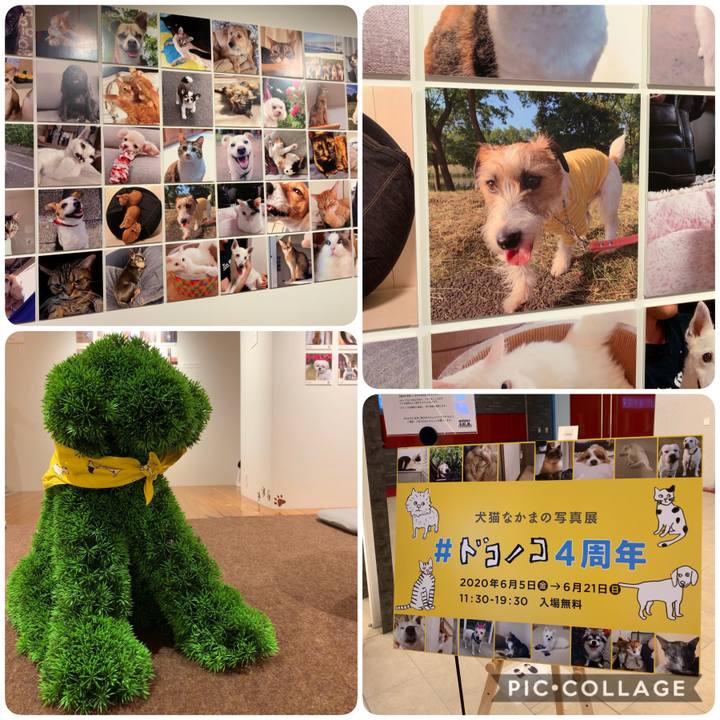 5f2432db af82 4101 9b26 83ddba274036 1591968311261