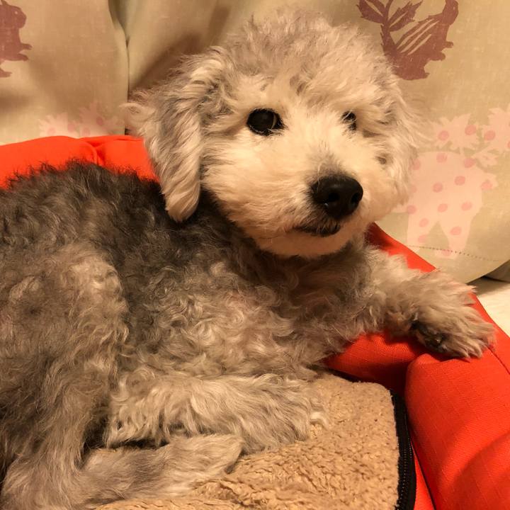 5f24720a 65a2 461c 86b7 d53efc905df3 1602851219569