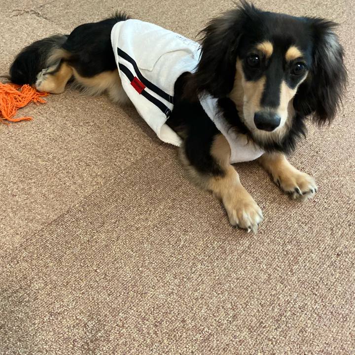 5f24740c a9d7 4644 a09e 8288c5dd7493 1683090186085