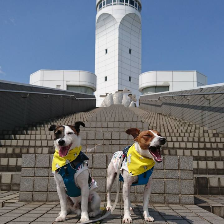 5f24904e d6c2 4aae 9213 7ddbb7f97b24 1556951348615