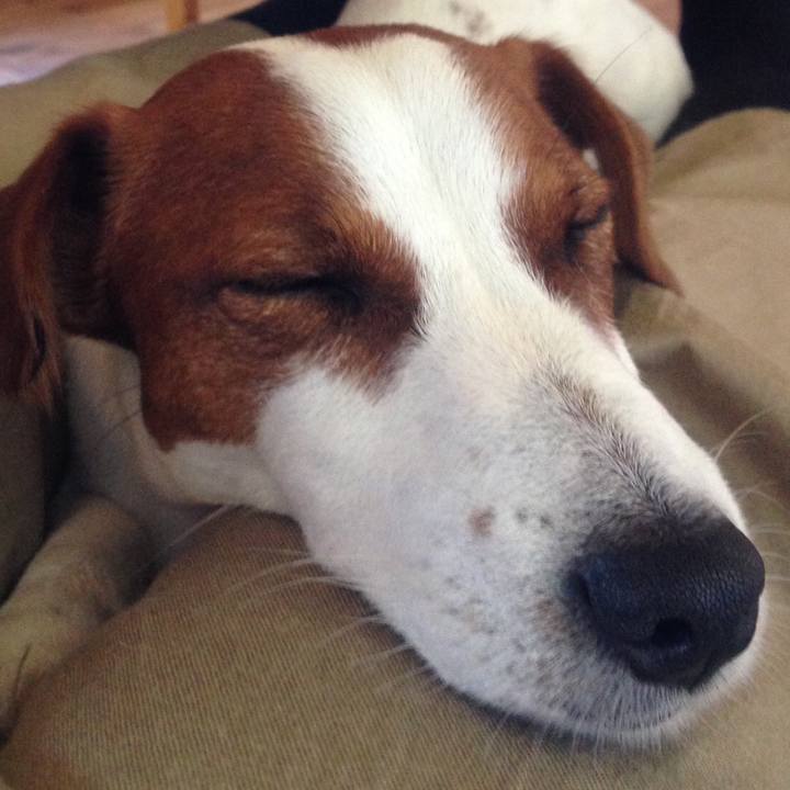 5f24a256 63ca 49d2 9ca6 6f9eefc7d8ff 1536055679117