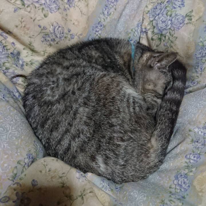 5f24b64f 432b 4199 8a66 884fcecc2aaf 1573476635456