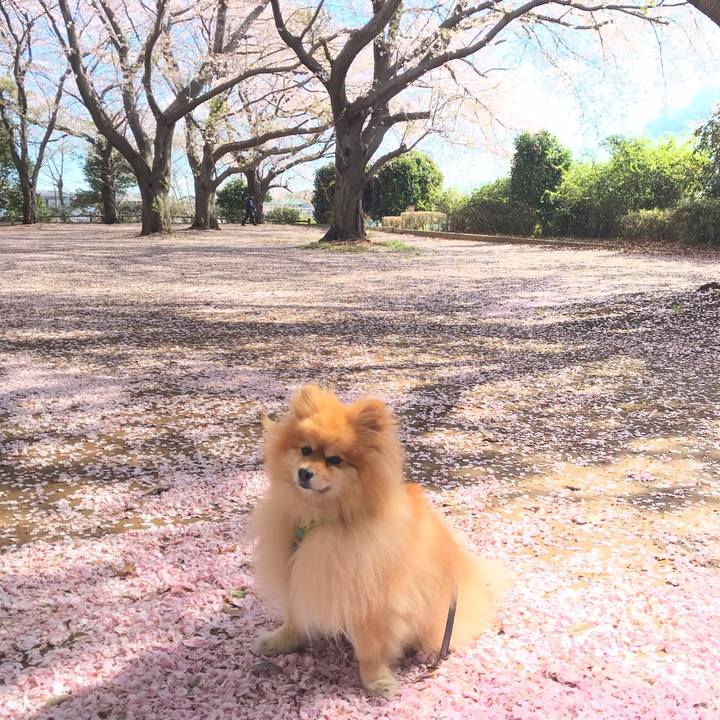 5f25212d 9939 41b6 a813 afbecc8c5131 1554771415262