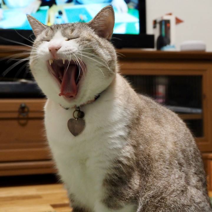 5f2557d1 3316 4067 a6ae 8c4480bec4da 1599132629123