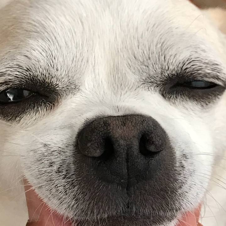 5f259ef3 4c9a 4ae5 9bb1 a1df57392103 1523777853321