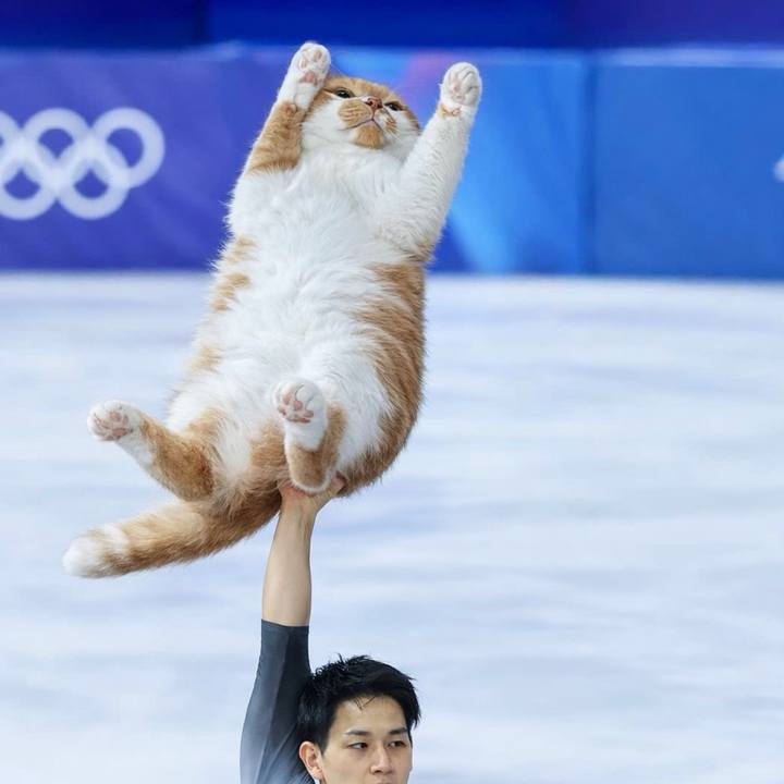 5f25a98e 6e00 4740 9bab 764c80fae277 1771628909915