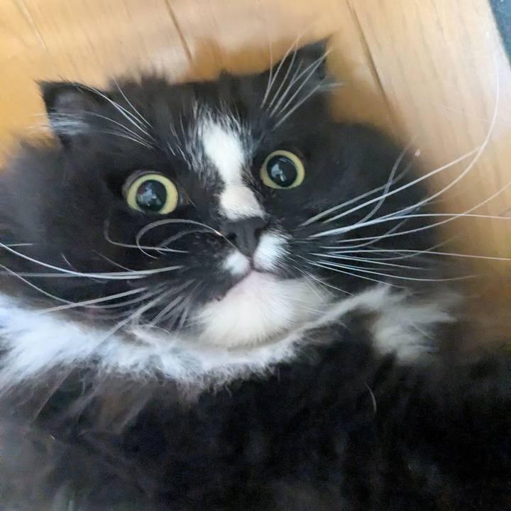 5f25c922 6a47 4483 aae8 498be1fb9932 1754396285855