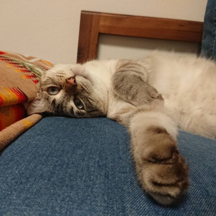 5f25d2a3 52b7 445a 9ff4 daef0a49bf2f 1566306812610