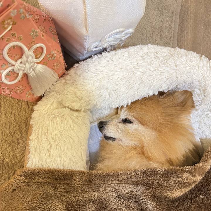 5f25d7fc 22c2 44a2 8b1d 9fedd0ec4542 1773832049159