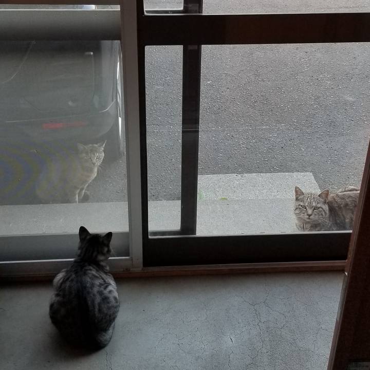 5f25ed40 39aa 4117 a6ea 94111a13e7a2 1685567426615