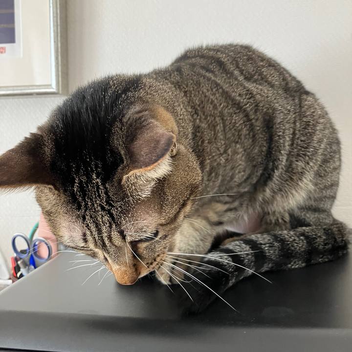 5f25fee5 6fb6 4776 8d14 23d9d5cc4969 1764714695622