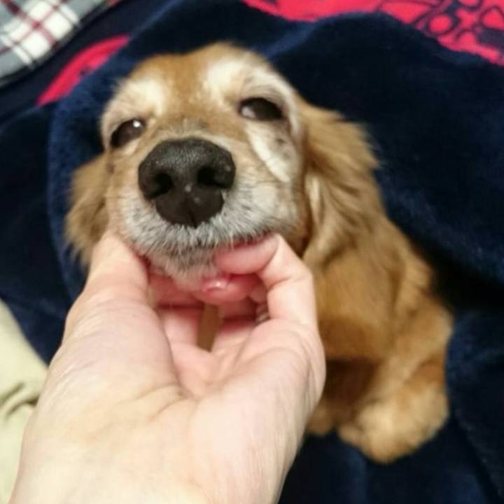 5f26002a 7fad 4431 809f ac07e52e5d51 1701704611941