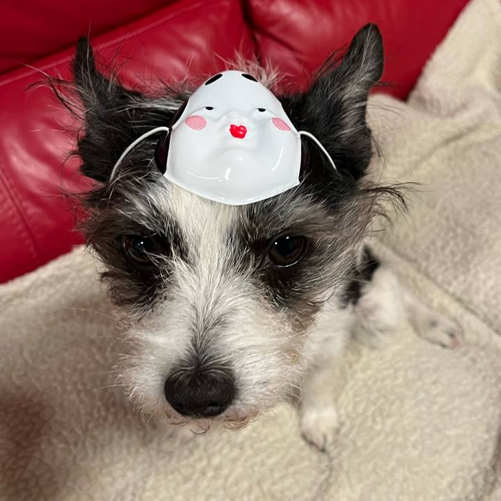 5f261fc9 ecad 4c0e ac83 921275e275eb 1675391509678