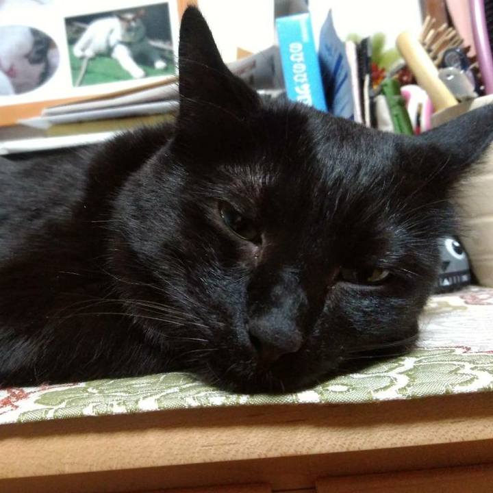 5f2629de 8826 4303 9a7e 409261909a0c 1556196947148