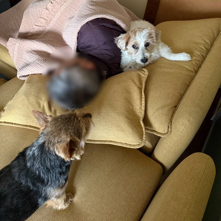 5f262ba8 b799 458a bc70 f96e808daa59 1772424278666