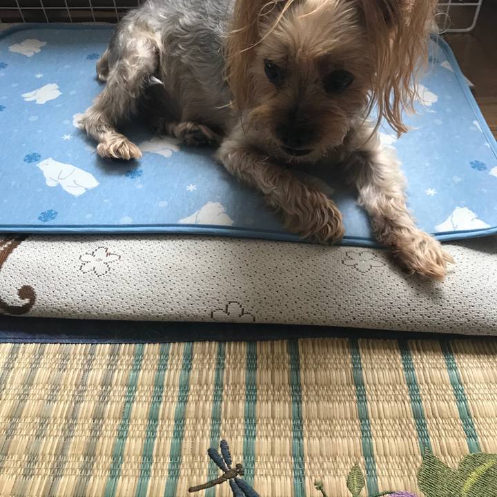 5f264639 eb8e 4056 836f 51395dd0dfdf 1594634639295