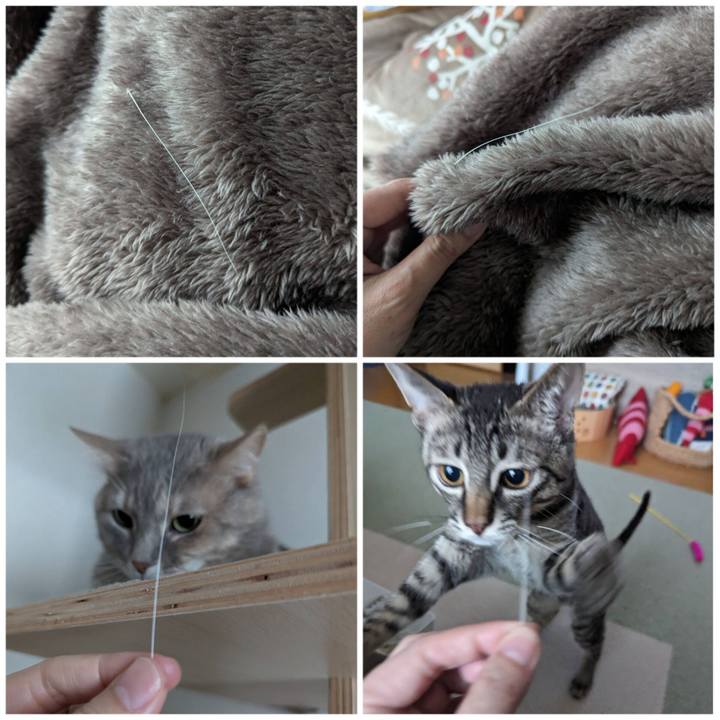 5f265368 290f 4c88 97ed 18a8da6c659d 1704771610967