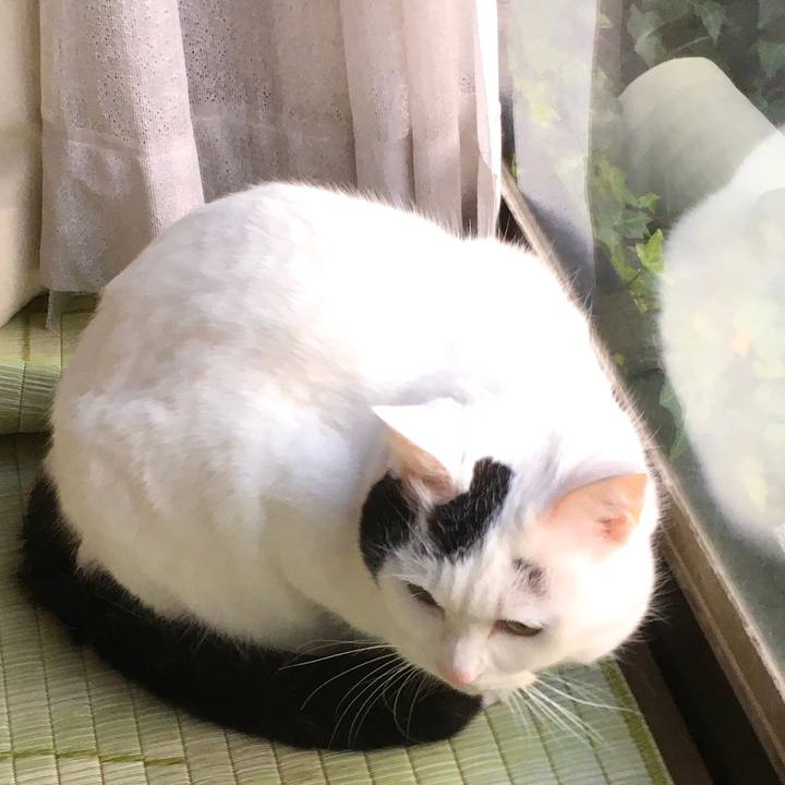 5f265597 a7a3 48d0 85f2 4bc0f5f0ef44 1577697136760