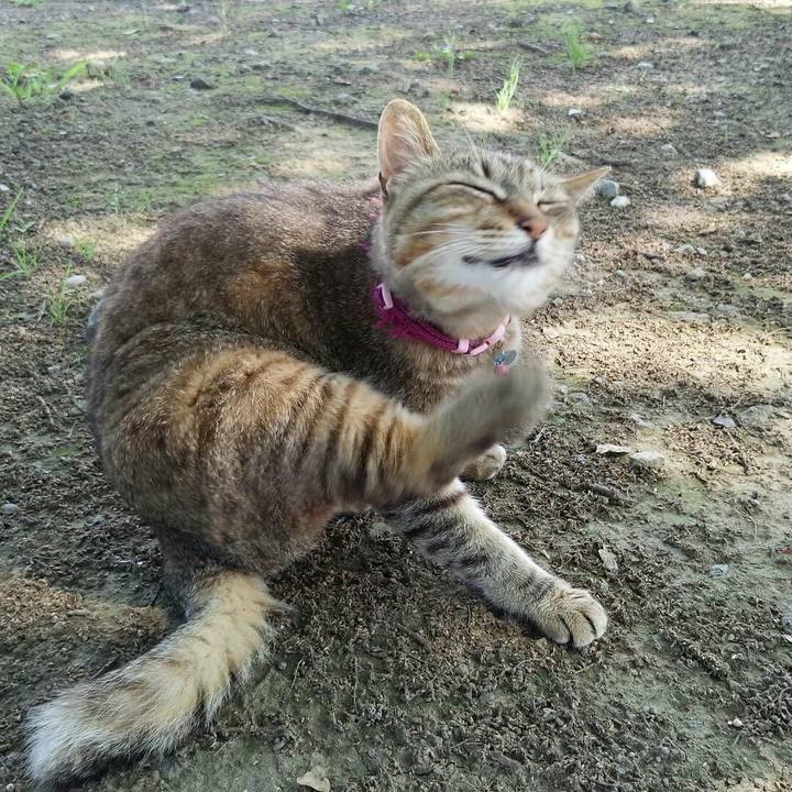 5f2666f5 3296 448a abd7 d7a1291e6217 1515732766372