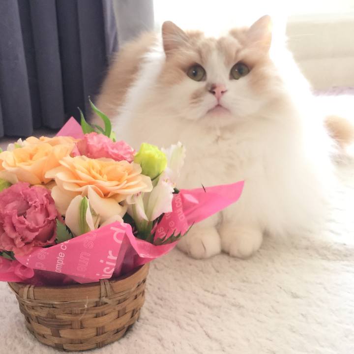 5f26a5e5 4453 4df6 a5d7 f14d6b0b02da 1522118072328