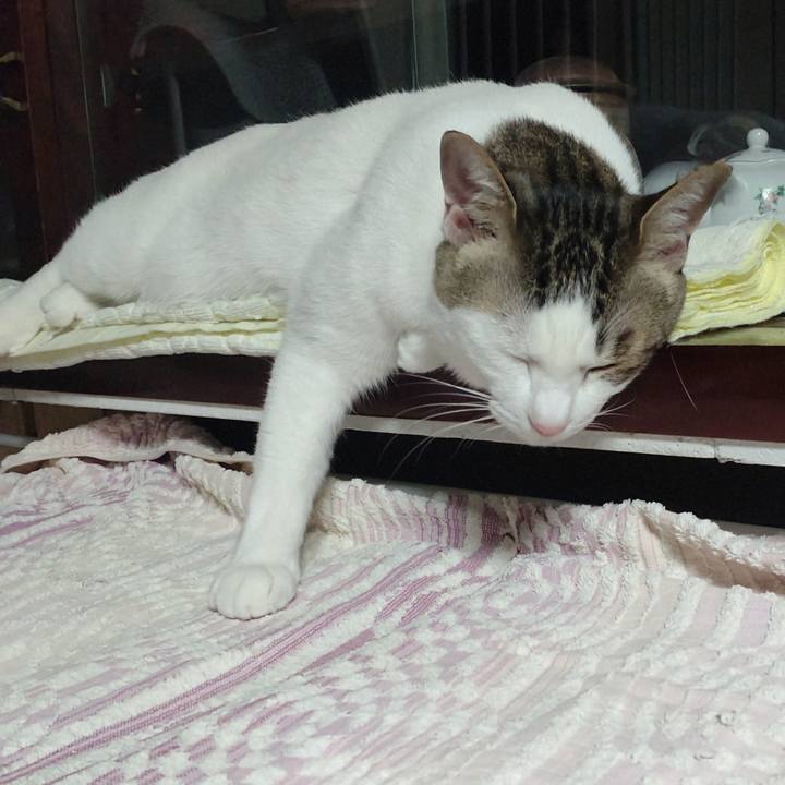 5f26b803 3af4 409b be61 13011c8862db 1742553690303