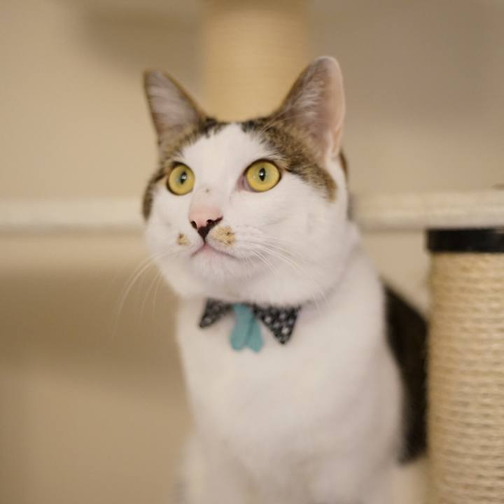 5f26e316 b8c0 44e8 b3d5 d7adf8a719a9 1521640243086