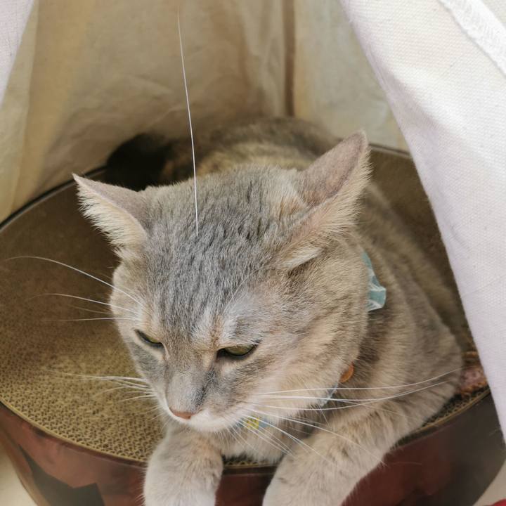 5f26e7d0 4cea 47e4 b1b2 4c3acf95fc35 1659065278036