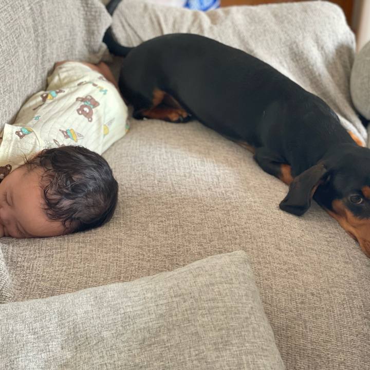 5f2702c7 57c1 4754 b501 fa9d443fb0e9 1718371423024