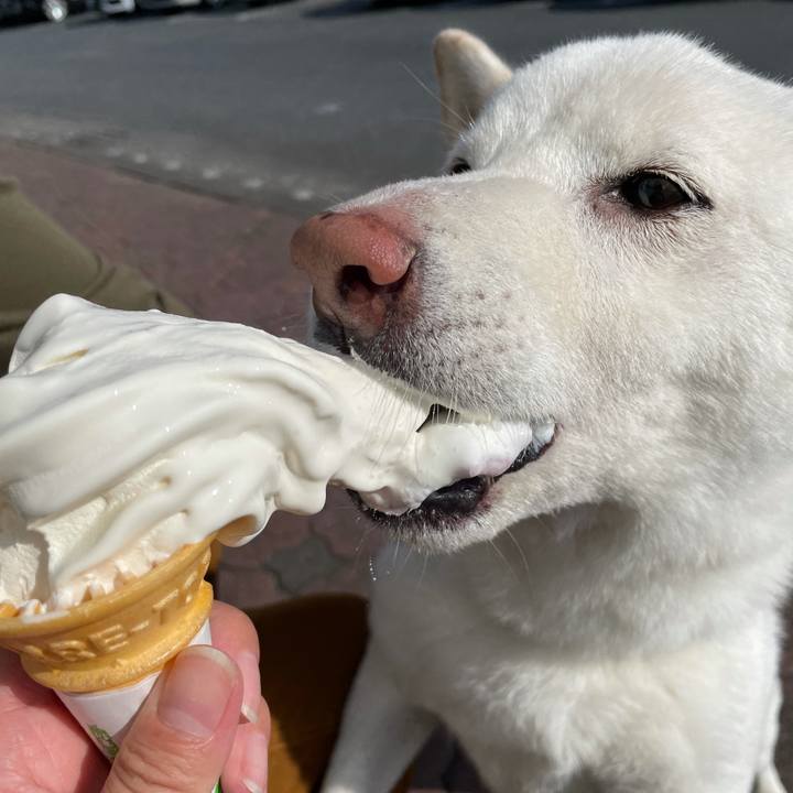 5f270e1f 9849 4195 b4d0 f6a1bb0afa32 1635153860936