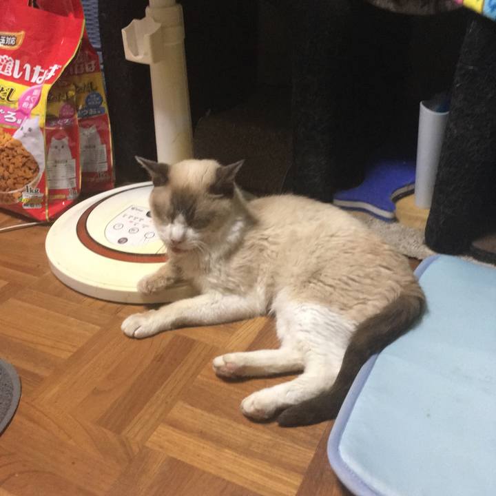 5f2713fa 1860 48fb b004 827cec35e478 1532260816446