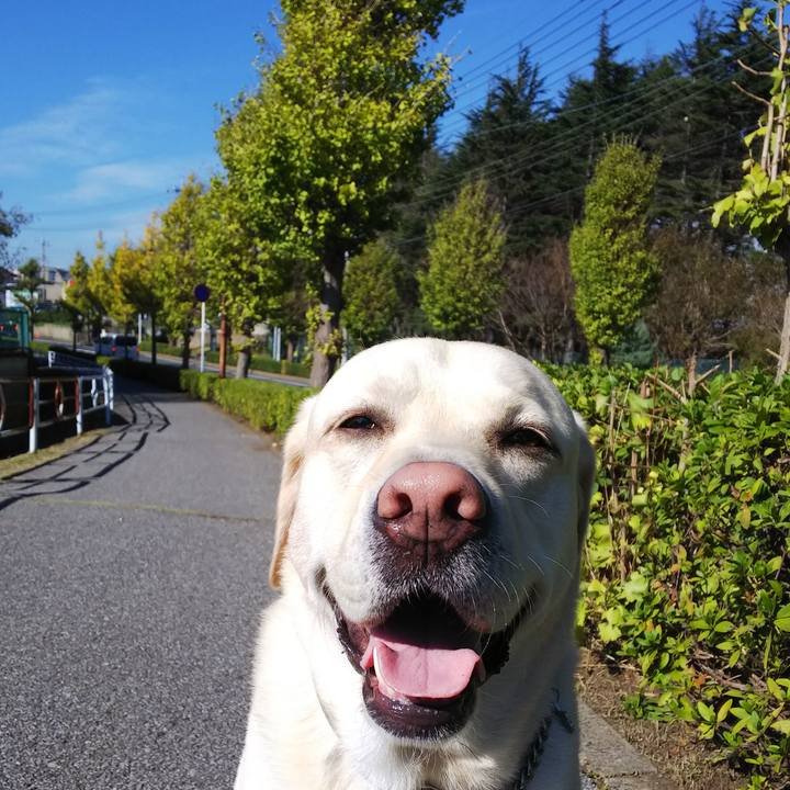 5f273399 704d 4b8b 9d73 ead4b336a96b 1573091541431