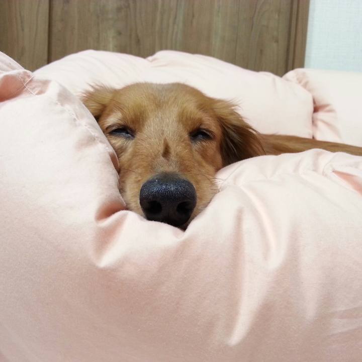 5f27617a 5365 462c b25b 803980e64aa6 1554383754870