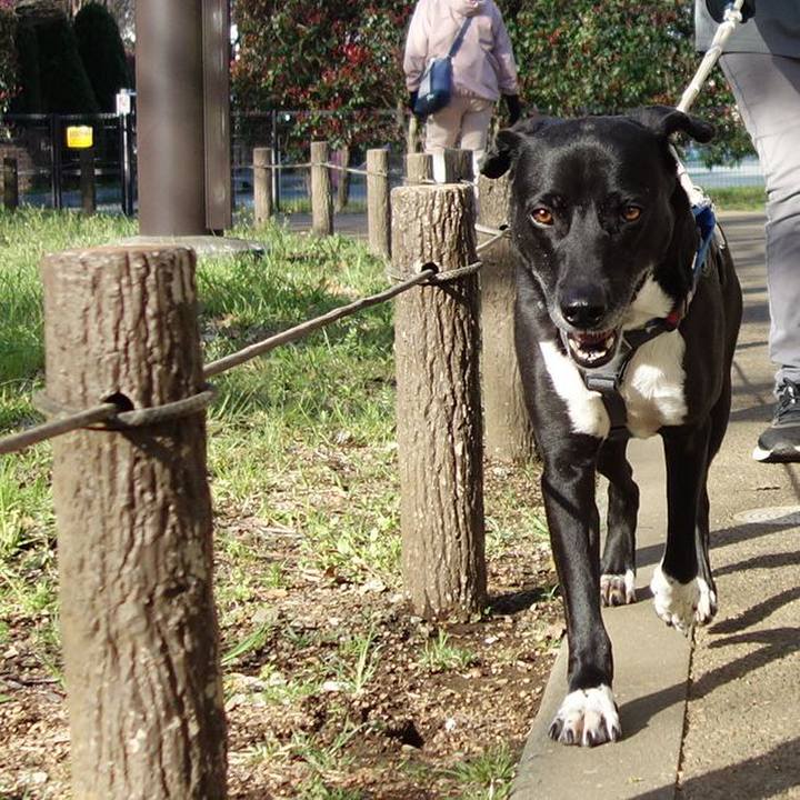 5f277a46 0ba6 419c 9c72 7709e8151784 1648861311589