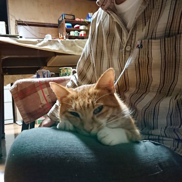 5f27a473 cda8 4741 b938 7b6a472c1958 1601238228534