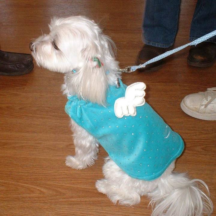 5f27cf20 1e42 4f4e 958b d95ce7bcd9da 1528782045566