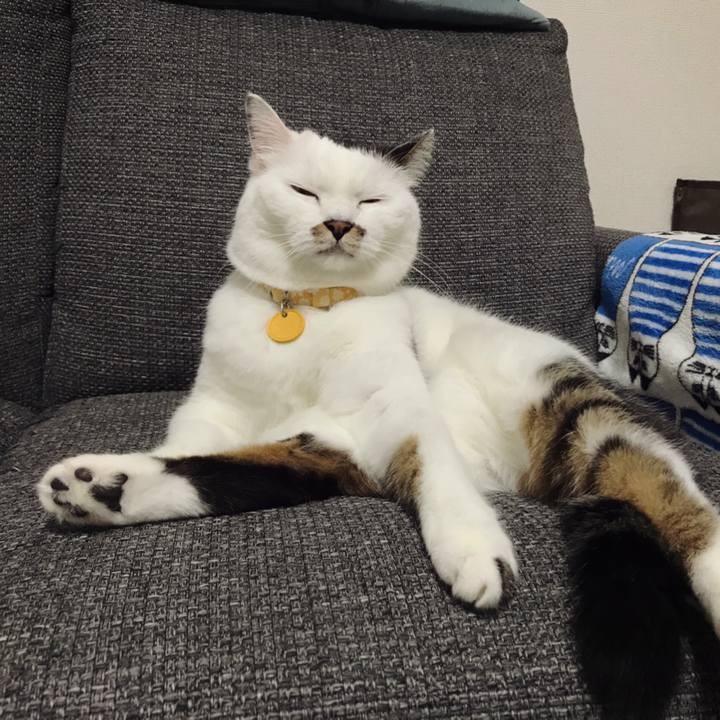 5f27ea4c d786 4074 b48b 36a28e50c190 1569911143218