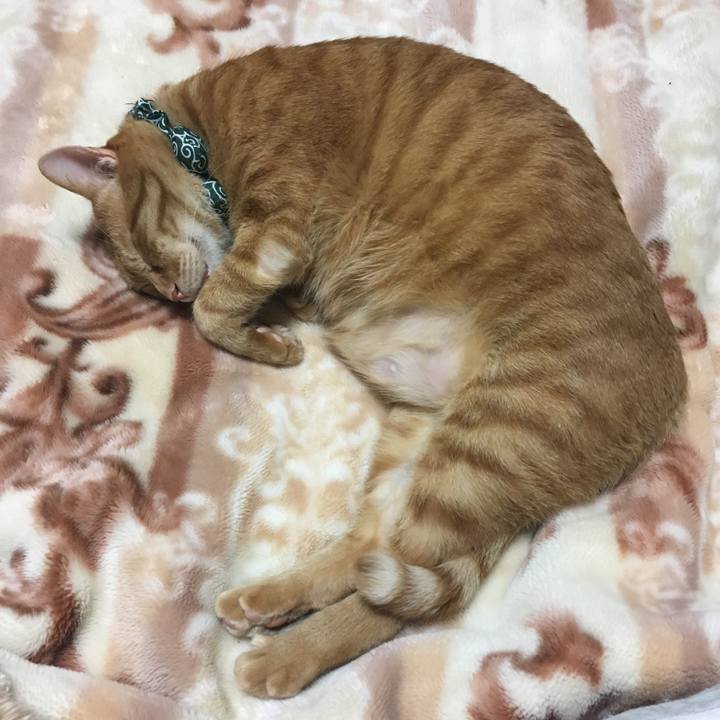 5f27fdf5 5fc8 4c70 8b58 ba7039942d48 1550138084411