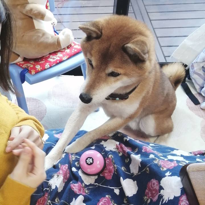 5f280dd2 2dac 4f4b 9cbb 2ed0374f99be 1638672866004